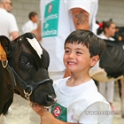 Otra mirada al Concurso Regional de Ganado Vacuno Frisn de Cantabria 2019