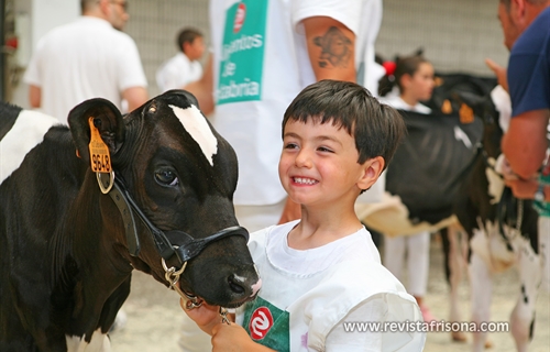 Otra mirada al Concurso Regional de Ganado Vacuno Frisn de Cantabria 2019