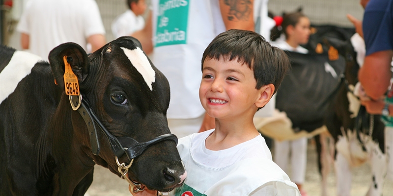 Otra mirada al Concurso Regional de Ganado Vacuno Frisn de Cantabria 2019