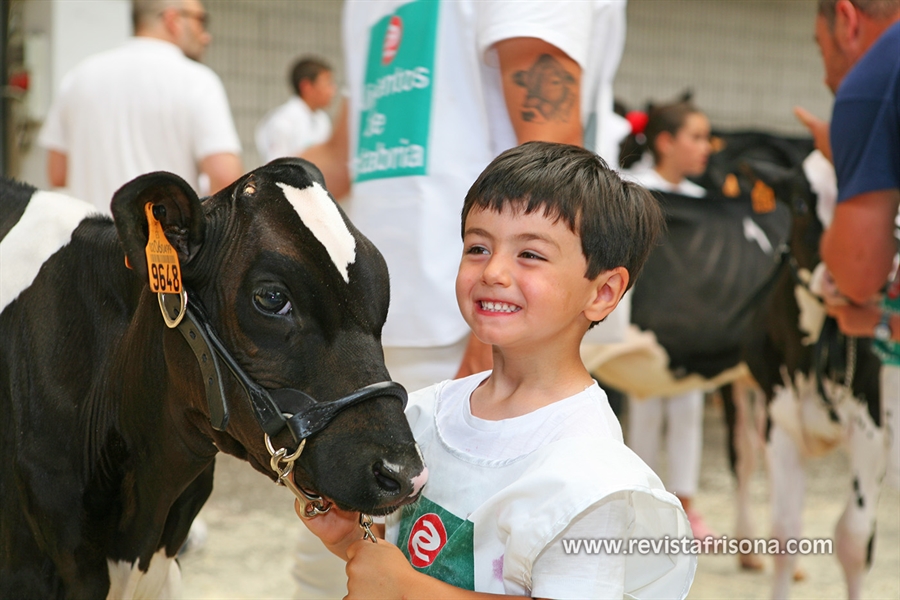 Otra mirada al Concurso Regional de Ganado Vacuno Frisn de Cantabria 2019