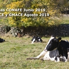 Nuevas pruebas CONAFE Junio 2019 + MACE y GMACE Agosto 2019