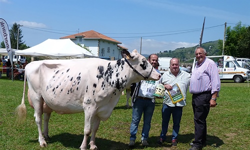 Tezanillos Braxton Toscana gana el concurso de raza frisona Valle de...