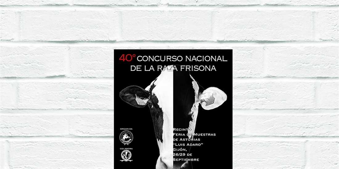 Cdula de inscripcin y horario definitivo del 40 Concurso Nacional de...