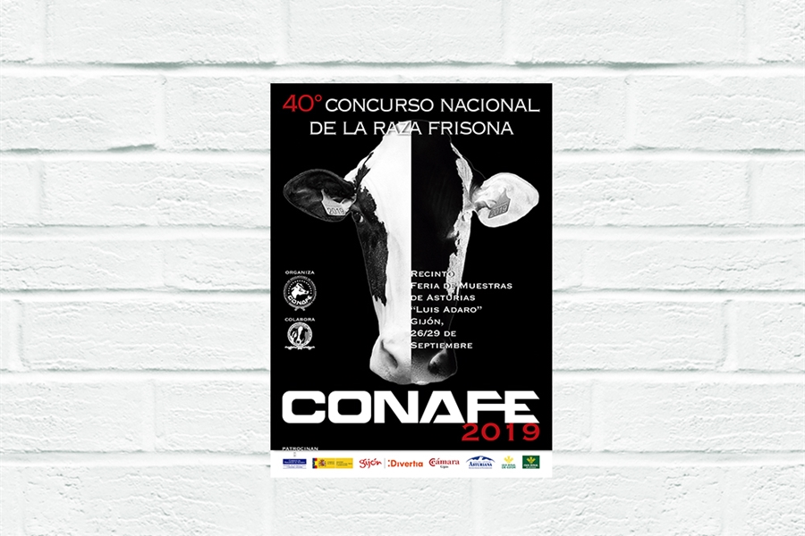 Cdula de inscripcin y horario definitivo del 40 Concurso Nacional de...