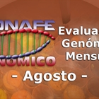 Nuevos toros genmicos con Prueba Oficial: Evaluacin genmica de agosto 2019