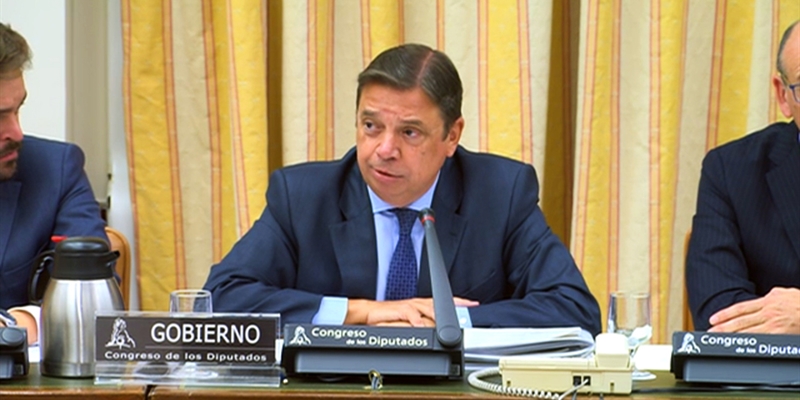 Luis Planas: El acuerdo con Mercosur es estratgico para Espaa y una oportunidad para nuestra agricultura, ganadera y pesca