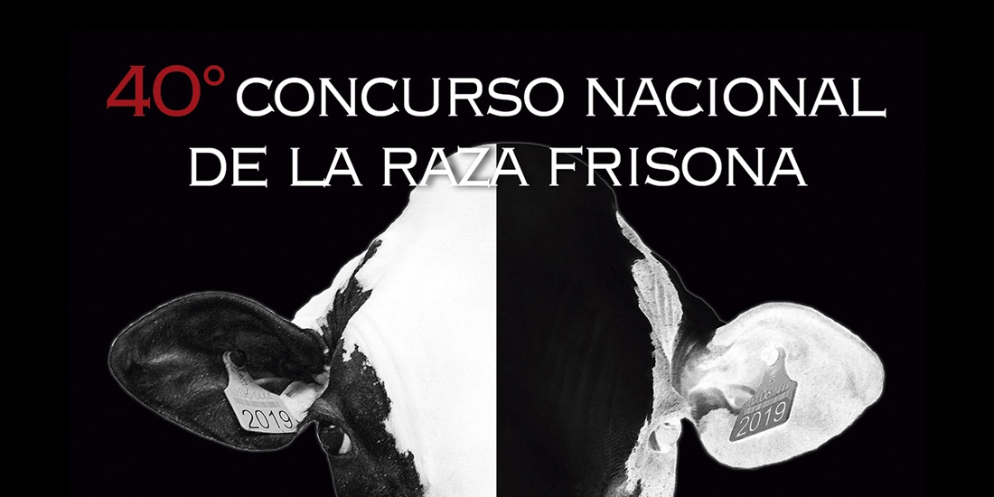 Se han inscrito 187 animales para el 40 Concurso Nacional de la Raza...