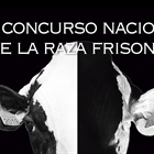 Se han inscrito 187 animales para el 40 Concurso Nacional de la Raza Frisona CONAFE 2019