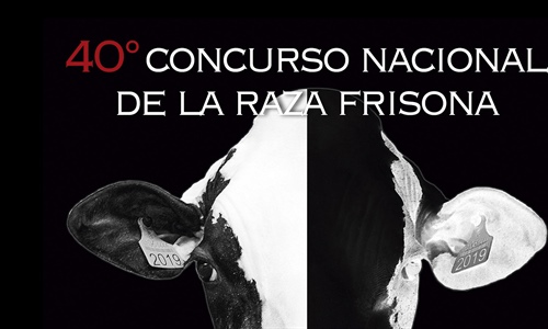 Se han inscrito 187 animales para el 40 Concurso Nacional de la Raza...