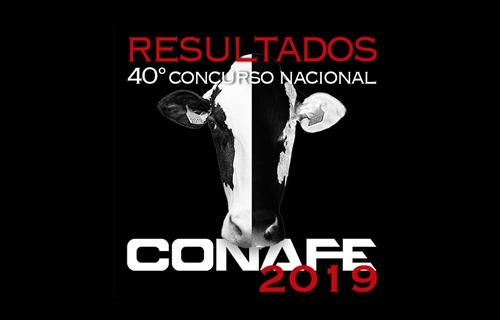 Sigue los resultados en directo del 40 Concurso Nacional de Raza...