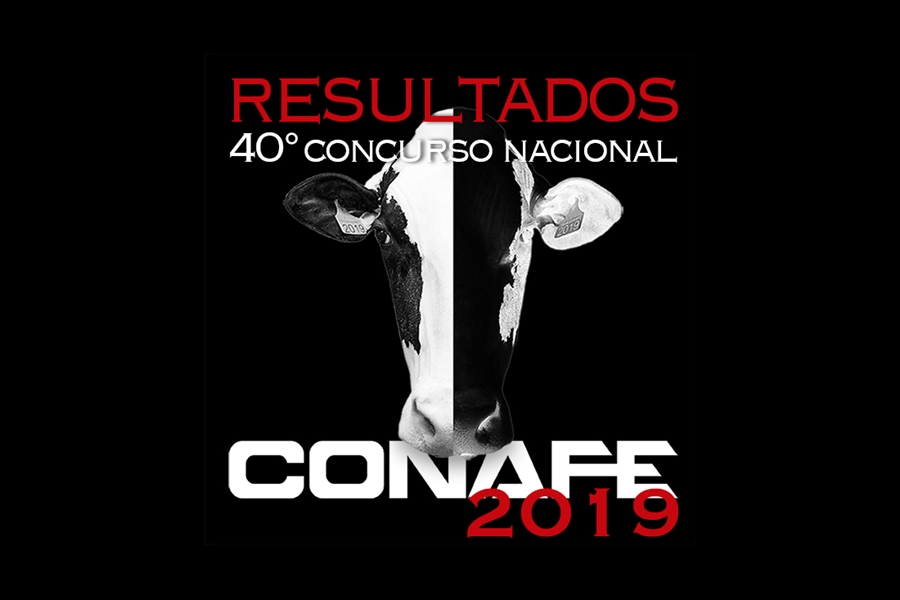 Sigue los resultados en directo del 40 Concurso Nacional de Raza...