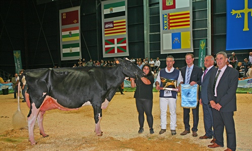Llinde Ariel Jordan, de SAT Ceceo, Vaca Gran Campeona Nacional CONAFE 2019