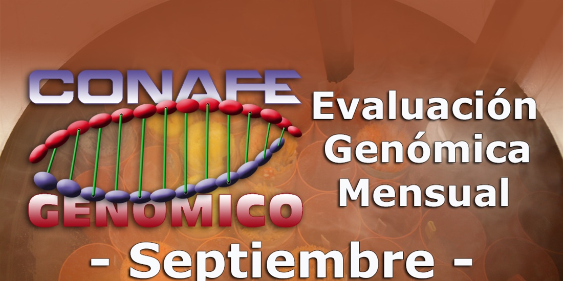 Nuevos toros genmicos con Prueba Oficial: Evaluacin genmica de...