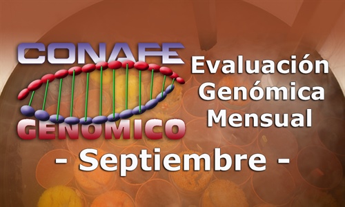 Nuevos toros genmicos con Prueba Oficial: Evaluacin genmica de...