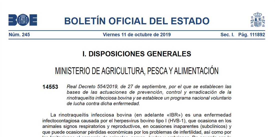 El BOE publica el Real Decreto que establece las bases de prevencin,...