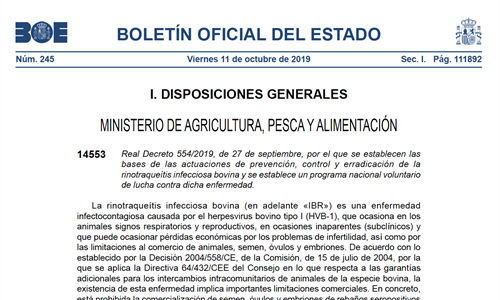 El BOE publica el Real Decreto que establece las bases de prevencin,...