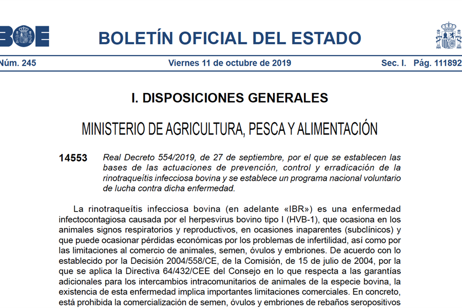 El BOE publica el Real Decreto que establece las bases de prevencin,...