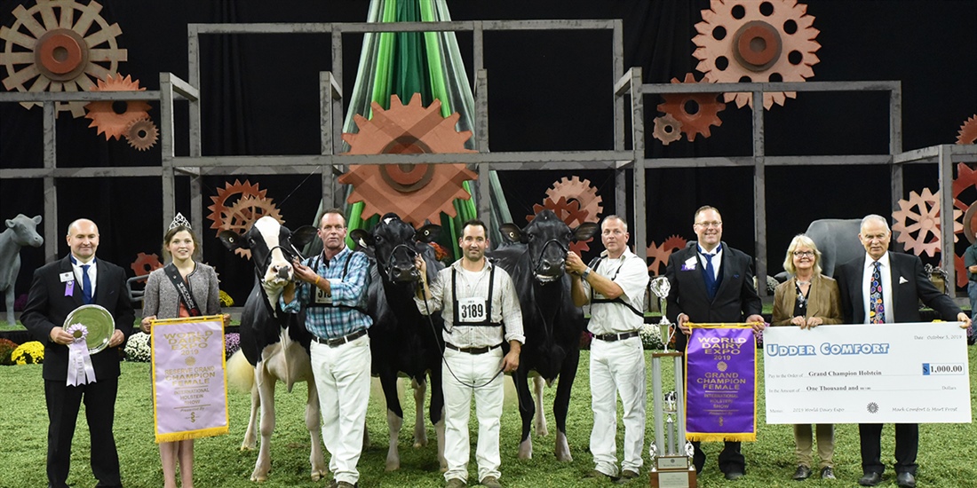 Butz-Butler Gold Barbara-ET, Vaca Holstein Gran Campeona en Madison