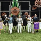 Butz-Butler Gold Barbara-ET, Vaca Holstein Gran Campeona en Madison
