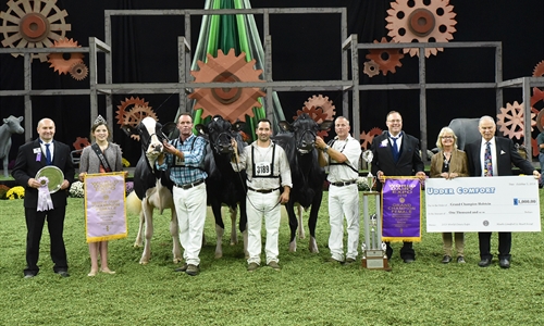 Butz-Butler Gold Barbara-ET, Vaca Holstein Gran Campeona en Madison