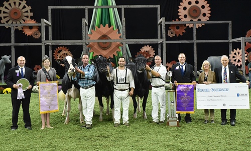 Butz-Butler Gold Barbara-ET, Vaca Holstein Gran Campeona en Madison