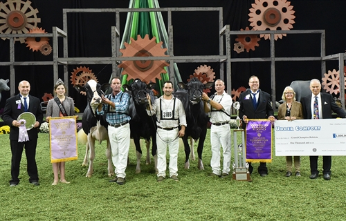 Butz-Butler Gold Barbara-ET, Vaca Holstein Gran Campeona en Madison