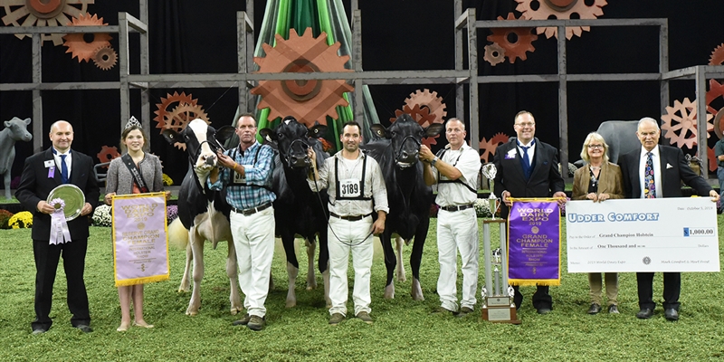 Butz-Butler Gold Barbara-ET, Vaca Holstein Gran Campeona en Madison