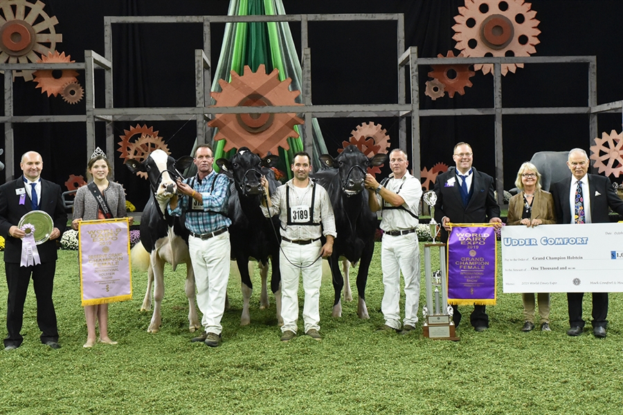 Butz-Butler Gold Barbara-ET, Vaca Holstein Gran Campeona en Madison