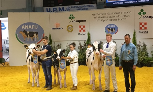 Gran papel de los tres jvenes ganaderos espaoles presentes en Cremona