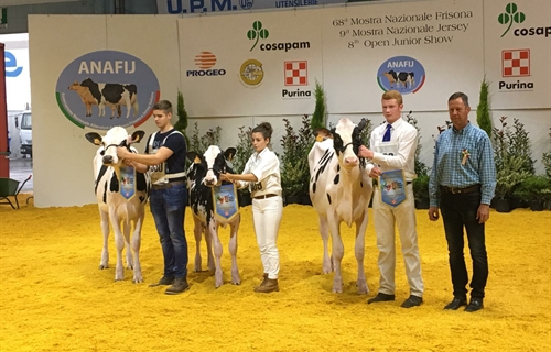 Gran papel de los tres jvenes ganaderos espaoles presentes en Cremona