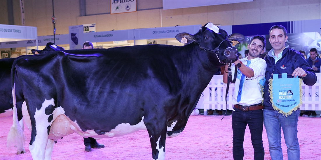 H.Tobas Bradnick Mili, Vaca Gran Campeona del concurso Usas Holsteins...