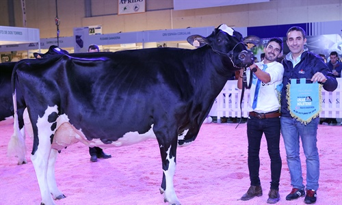 H.Tobas Bradnick Mili, Vaca Gran Campeona del concurso Usas Holsteins...