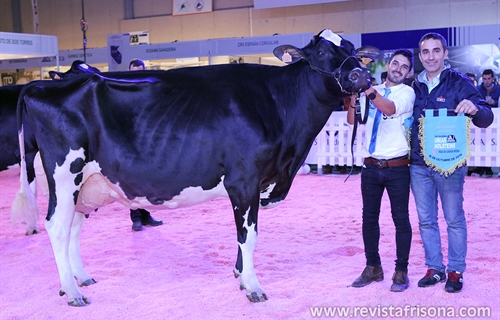 H.Tobas Bradnick Mili, Vaca Gran Campeona del concurso Usas Holsteins...