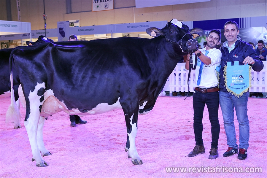 H.Tobas Bradnick Mili, Vaca Gran Campeona del concurso Usas Holsteins...