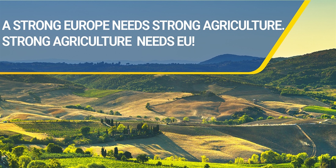 Los agricultores de la UE calculan que la PAC 2020 reducira un 11% los...
