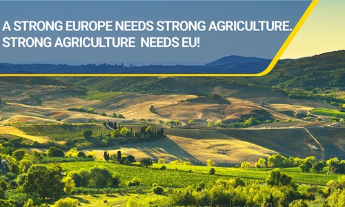 Los agricultores de la UE calculan que la PAC 2020 reducira un 11% los...