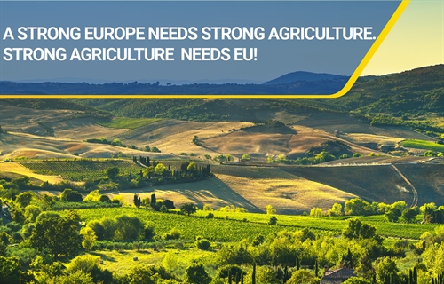 Los agricultores de la UE calculan que la PAC 2020 reduciría un 11% los...