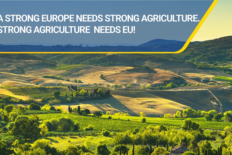 Los agricultores de la UE calculan que la PAC 2020 reducira un 11% los...