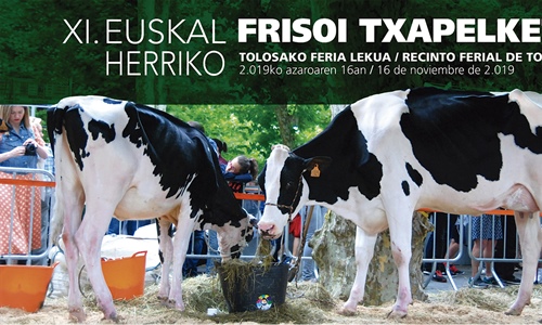 Programa y cartel del XI Concurso de Ganado Frisn de Euskal Herria 2019