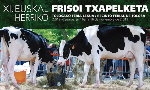 Programa y cartel del XI Concurso de Ganado Frisn de Euskal Herria 2019
