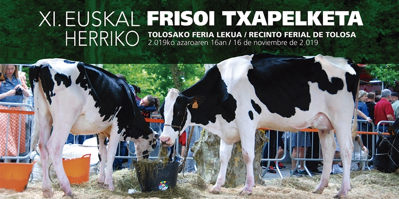Programa y cartel del XI Concurso de Ganado Frisón de Euskal Herria 2019