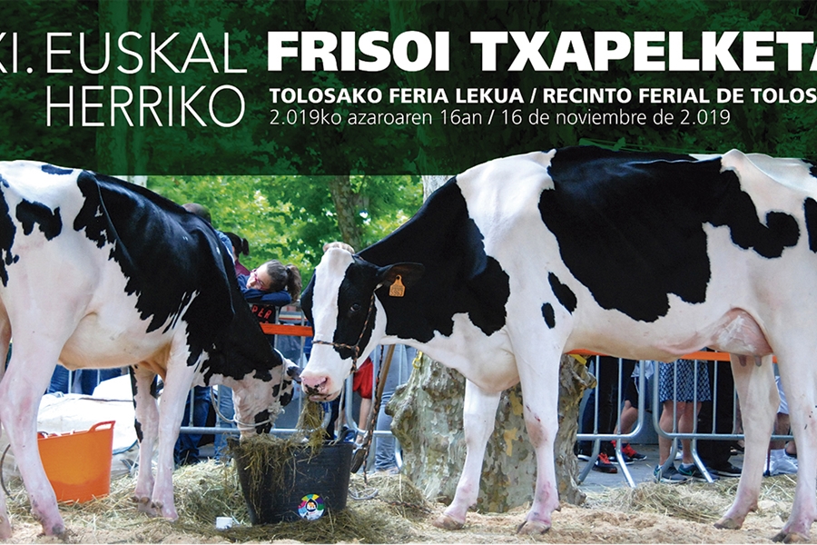 Programa y cartel del XI Concurso de Ganado Frisn de Euskal Herria 2019