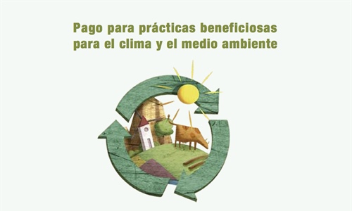 Coeficiente provisional para el Pago Verde de la campaa 2019