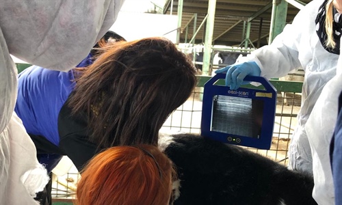 MSD Animal Health imparte un curso de ecografa pulmonar a tcnicos...