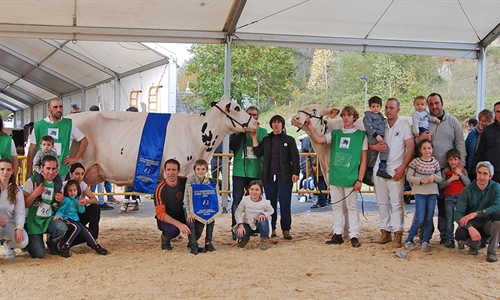 XVIII Concurso Provincial de la Raza Frisona de Gordexola (Bizkaia)