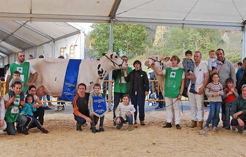 XVIII Concurso Provincial de la Raza Frisona de Gordexola (Bizkaia)