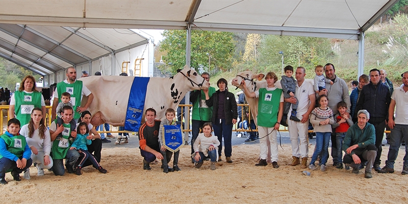 XVIII Concurso Provincial de la Raza Frisona de Gordexola (Bizkaia)