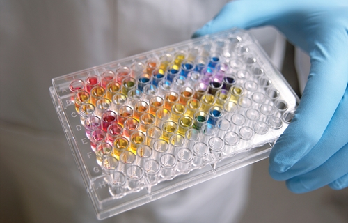 Bayer Animal Health y VLPbio firman un acuerdo global de colaboracin...