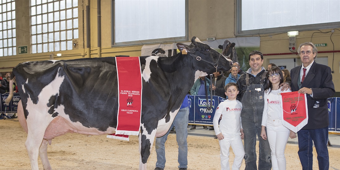 Planillo Lauthority Leire, Vaca Campeona de Euskal Herria 2019