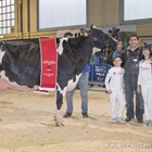 Planillo Lauthority Leire, Vaca Campeona de Euskal Herria 2019